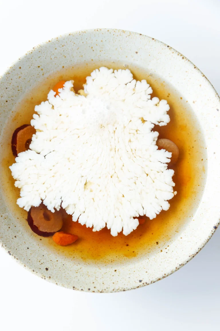Peach Gum and a Dessert Soup Recipe
