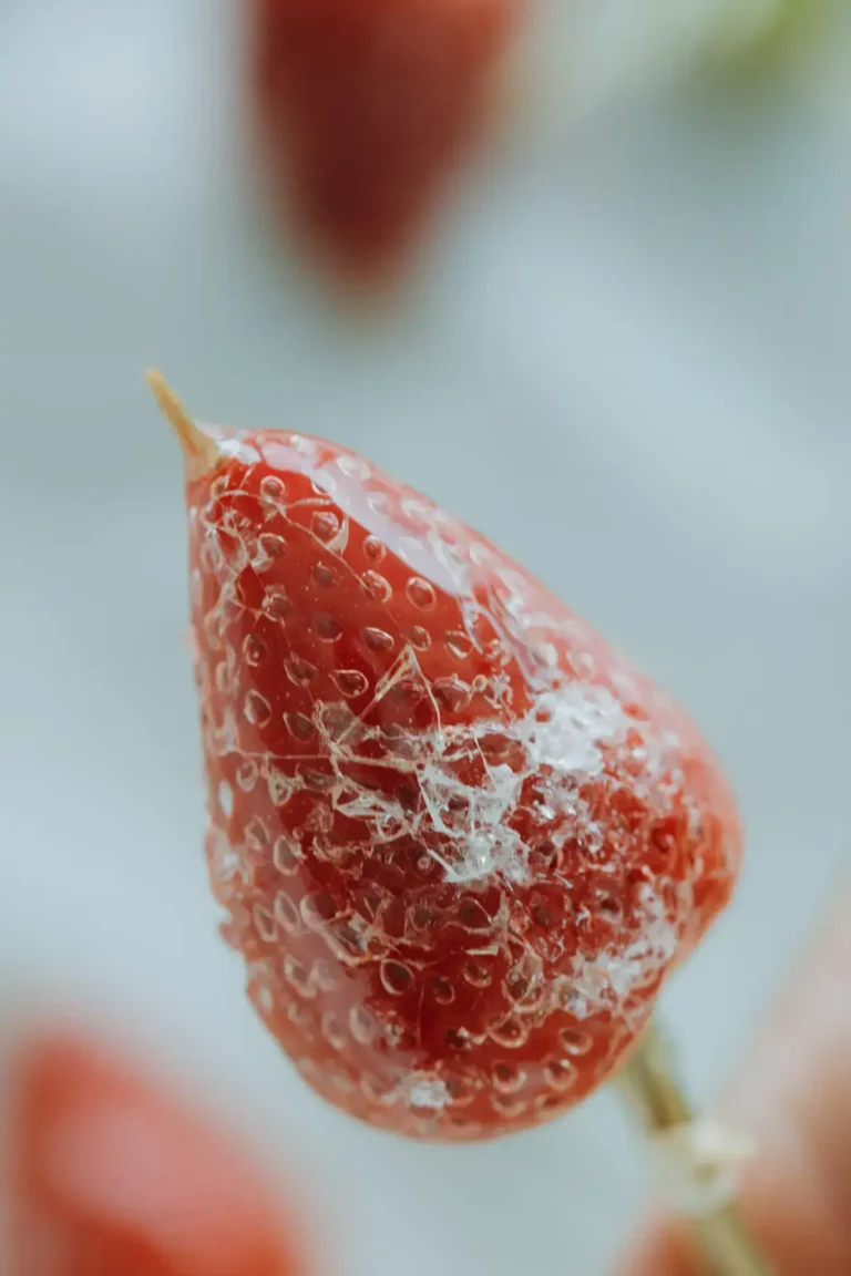 How to Make Tanghulu, Candied Fruits